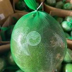 Bưởi da xanh loại 1 tốt nhất – 1kg - Thực phẩm chay sạch Chaysach.com