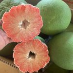 Bưởi da xanh loại 1 tốt nhất – 1kg - Thực phẩm chay sạch Chaysach.com