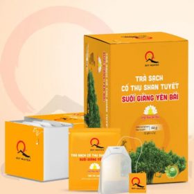 Trà bancha túi lọc 22 gói Thực Dưỡng Cao Cấp Chùa Long Hương Thầy Tuệ Hải sản xuất - Thực phẩm chay sạch Chaysach.com