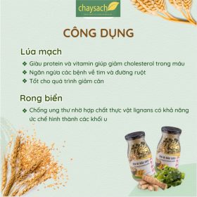 Gia Vị Rắc Cơm Lúa Mạch Rong Biển Chay 100g - Thực phẩm chay sạch Chaysach.com