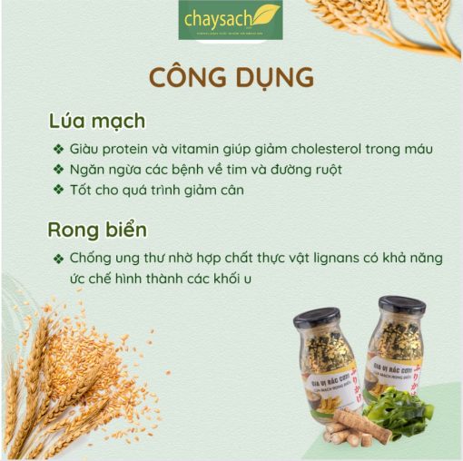 Gia Vị Rắc Cơm Lúa Mạch Rong Biển Chay 100g - ảnh 5